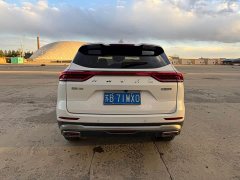 Haval H6 2021 National Trend 1.5T Automatic Champion Edition - ფოტო 7