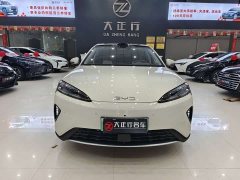 BYD Dolphin 07 EV 705 Flagship - ფოტო 2
