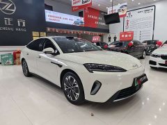 BYD Dolphin 07 EV 705 Flagship - ფოტო 3