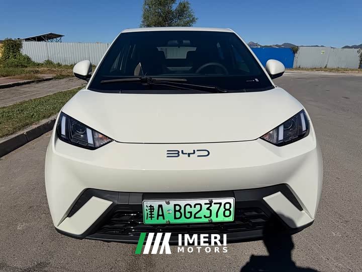 BYD Seagull 305km Vitality Edition - ავტომობილი ჩინეთიდან