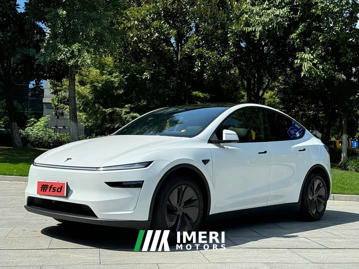 Tesla Model Y Rear-Wheel Drive