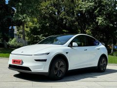 Tesla Model Y Rear-Wheel Drive - ფოტო 1