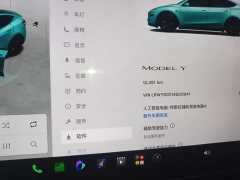 Tesla Model Y Rear-Wheel Drive - ფოტო 9