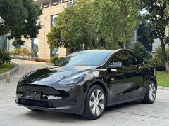 Tesla Model Y Rear-Wheel Drive - ფოტო 1