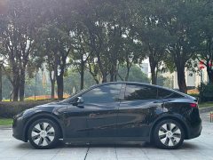 Tesla Model Y Rear-Wheel Drive - ფოტო 2