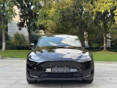 Tesla Model Y Rear-Wheel Drive - ფოტო 3