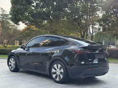 Tesla Model Y Rear-Wheel Drive - ფოტო 5