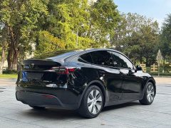 Tesla Model Y Rear-Wheel Drive - ფოტო 6