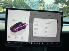 Tesla Model Y Rear-Wheel Drive - ფოტო 9