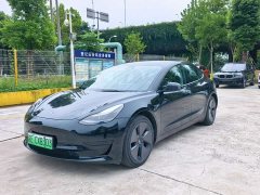 Tesla Model 3 Standard Range RWD Upgrade 3D6 - ფოტო 1