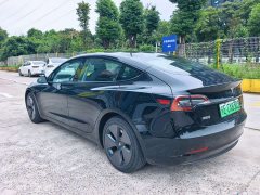 Tesla Model 3 Standard Range RWD Upgrade 3D6 - ფოტო 10