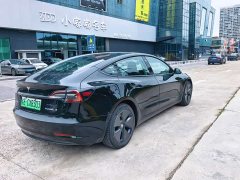 Tesla Model 3 Standard Range RWD Upgrade 3D6 - ფოტო 11