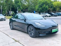 Tesla Model 3 Standard Range RWD Upgrade 3D6 - ფოტო 3