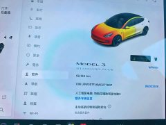 Tesla Model 3 Standard Range RWD Upgrade 3D6 - ფოტო 8