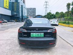 Tesla Model 3 Standard Range RWD Upgrade 3D6 - ფოტო 9