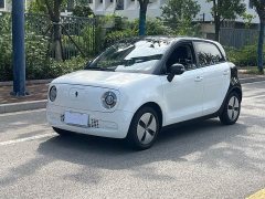 ORA Black Cat 301km Cute Pet Edition LFP Battery - ფოტო 1