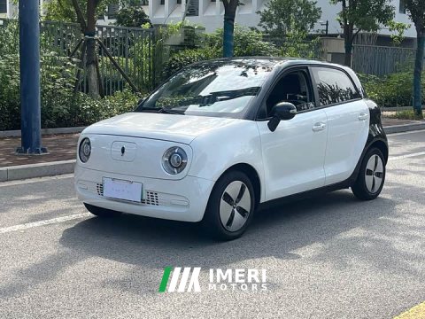 2022 ORA Black Cat 301km Cute Pet Edition LFP Battery - ავტომობილი ჩინეთიდან