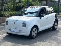 ORA Black Cat 301km Cute Pet Edition LFP Battery - ფოტო 14