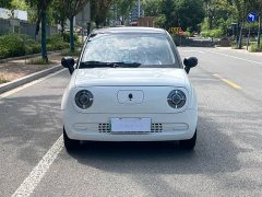 ORA Black Cat 301km Cute Pet Edition LFP Battery - ფოტო 2