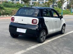 ORA Black Cat 301km Cute Pet Edition LFP Battery - ფოტო 4