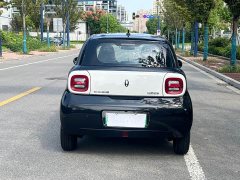 ORA Black Cat 301km Cute Pet Edition LFP Battery - ფოტო 5
