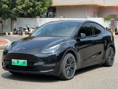 Tesla Model Y Long Range All-Wheel Drive - ფოტო 1