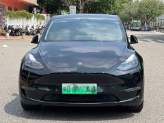 Tesla Model Y Long Range All-Wheel Drive - ფოტო 2