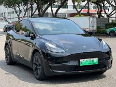Tesla Model Y Long Range All-Wheel Drive - ფოტო 3