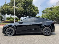 Tesla Model Y Long Range All-Wheel Drive - ფოტო 4