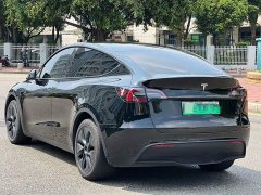 Tesla Model Y Long Range All-Wheel Drive - ფოტო 7