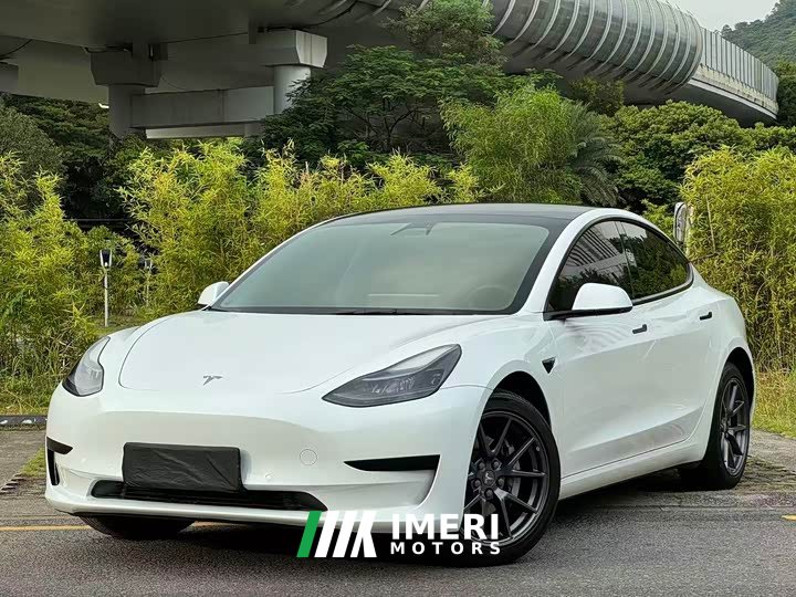 Tesla Model 3 Standard Range RWD Upgrade
