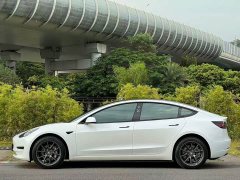 Tesla Model 3 Standard Range RWD Upgrade - ფოტო 10