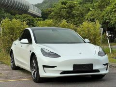 Tesla Model 3 Standard Range RWD Upgrade - ფოტო 3
