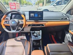 BYD e2 Luxury - ფოტო 8