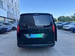 Wing Zhen L380 140-Degree 6-Seat AWD Ultra - фото 10