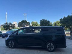 Wing Zhen L380 140-Degree 6-Seat AWD Ultra - фото 12