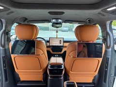 Wing Zhen L380 140-Degree 6-Seat AWD Ultra - фото 15