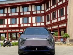 HiPhi Y 2023 560km Pioneer Edition - ფოტო 2