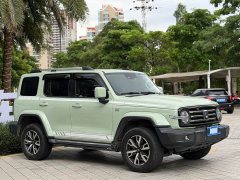 Tank 300 City Edition 2.0T Stylish - ფოტო 3