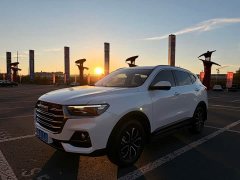 Haval H6 2021 National Trend Edition 1.5T Automatic Urban Version - ფოტო 1