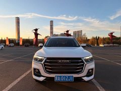 Haval H6 2021 National Trend Edition 1.5T Automatic Urban Version - ფოტო 2