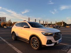Haval H6 2021 National Trend Edition 1.5T Automatic Urban Version - ფოტო 3
