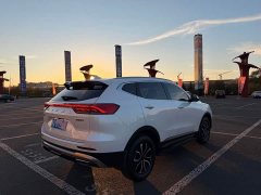 Haval H6 2021 National Trend Edition 1.5T Automatic Urban Version - ფოტო 6