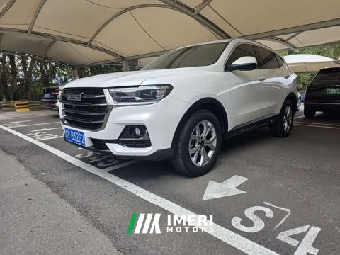 2022 Haval H6 National Trend 1.5T Automatic Champion Edition