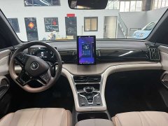 BYD Song Pro New Energy New Energy DM-i 71KM Glory Edition Pilot - ფოტო 9