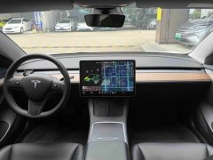 Tesla Model 3 2021 Standard Range RWD Upgrade 3D6 - ფოტო 10