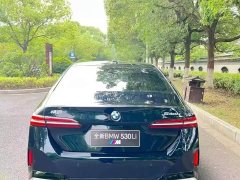 BMW 5 Series 530Li Luxury M Sport Package - ფოტო 8