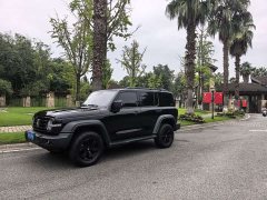 Tank 300 2021 Off-Road Edition 2.0T Conqueror - ფოტო 13