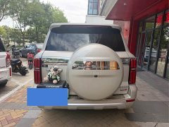 Tank 500 New Energy 2023 Hi4-T - ფოტო 15