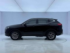 Haval H6 2021 National Trend 1.5T Automatic Champion Edition - ფოტო 2